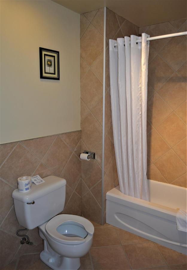 Motel Quatre Saisons Forestville Εξωτερικό φωτογραφία
